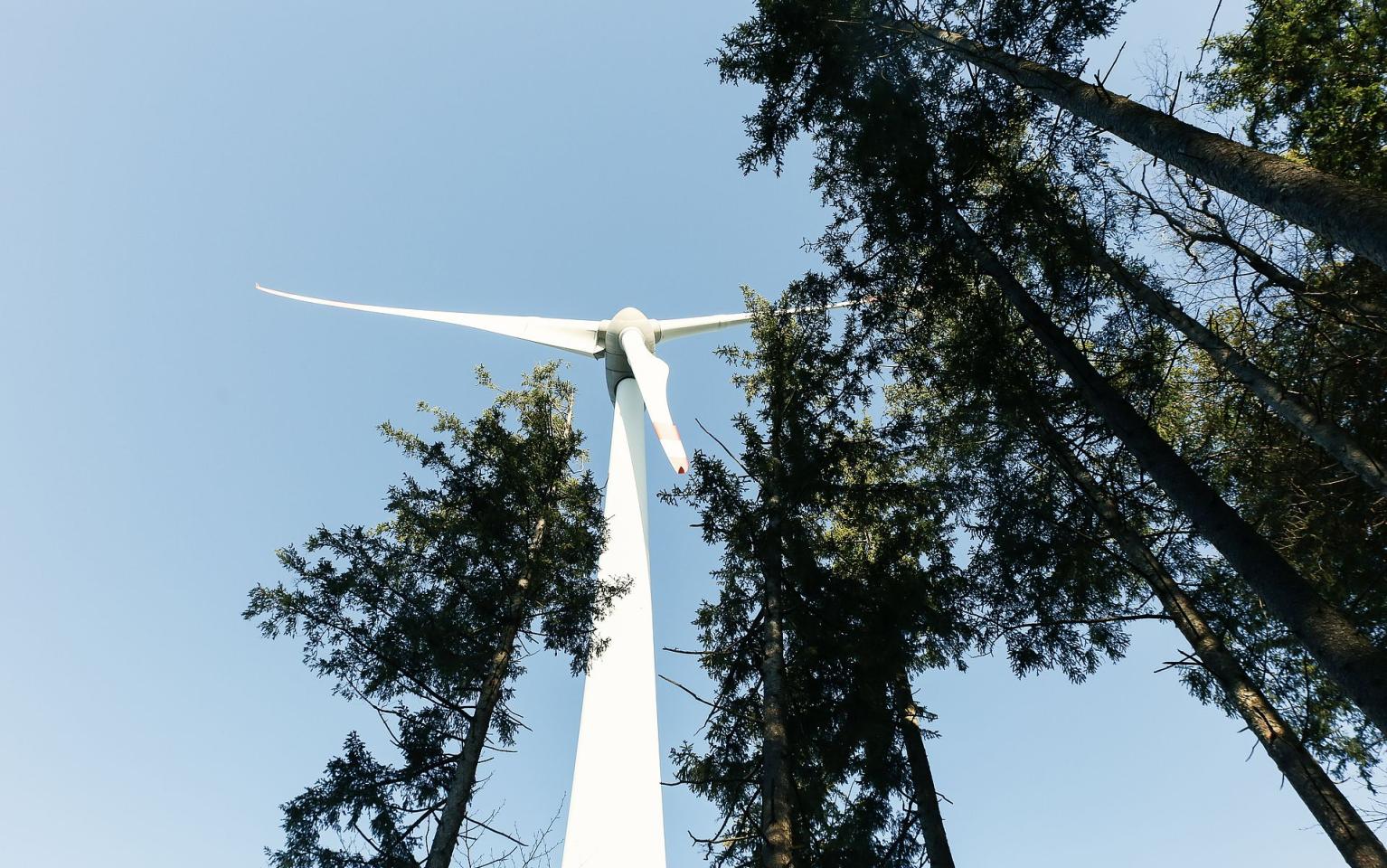 windmühle